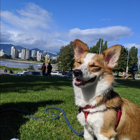 Meet your Posher, Jacqueline - Picture 1 of 1